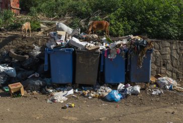 Ramassage des déchets : la mairie de Mamoudzou interpelle la CADEMA