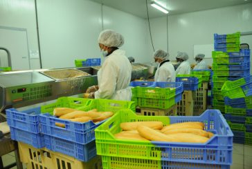 Lancement de l’appel d’offre pour la cuisine centrale de Kawéni