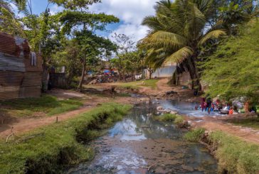 71 cas de leptospirose à Mayotte en 2020