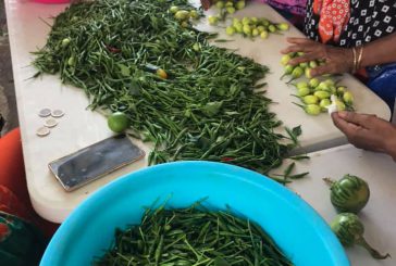 Où encore trouver des marchés à Mayotte ?