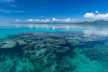 L’économie bleue enfin sur le point de prendre son envol à Mayotte ?