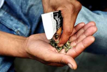 Une ONG tire la sonnette d’alarme face au trafic de stupéfiants dans la région