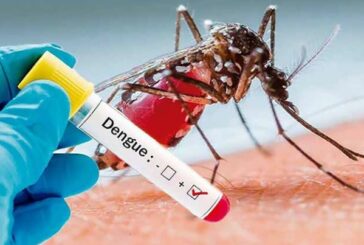 Mayotte n’en a pas fini non plus avec la dengue