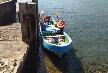 Les pêcheurs de Mayotte en crise : un business model à bout de souffle