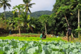 L’EPFAM lance un appel à projet agricole