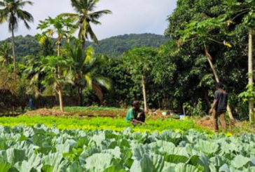 L’EPFAM lance un appel à projet agricole