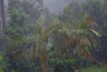 La saison des pluies serait-elle déjà là ?