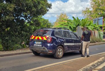 Opération de gendarmerie à Bandrélé