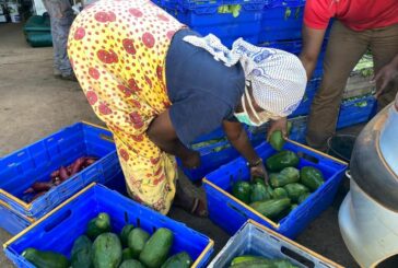 Sessions d’information de la MSA du 4 au 27 novembre pour les droits et démarches des agriculteurs mahorais