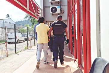 Prison avec sursis pour un homme qui bat sa femme et qui était en possession de grenades