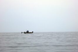 Le Festival Laka met la mer à l’honneur avec des ateliers, une visite virtuelle et une course de pirogues