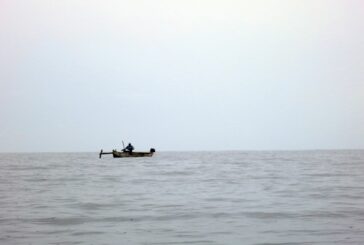 Le Festival Laka met la mer à l’honneur avec des ateliers, une visite virtuelle et une course de pirogues