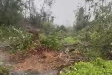 Alerte rouge : Mayotte reste sous tension lundi