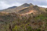 Restaurer les forêts de Mayotte face aux menaces humaines et climatiques pour préserver son patrimoine naturel